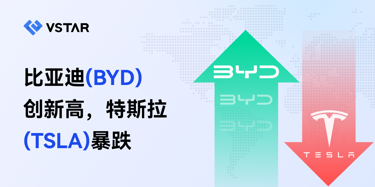 比亚迪（BYD）创新高，特斯拉（TSLA）暴跌