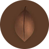 Cocoa